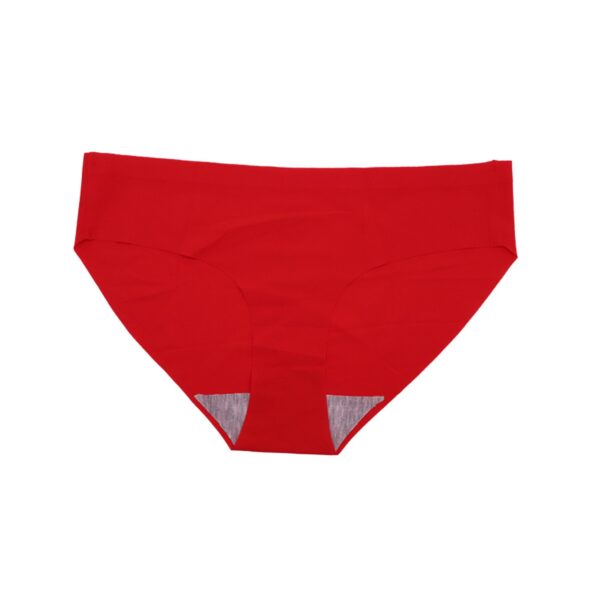 Sissy Classic Nylon Panty